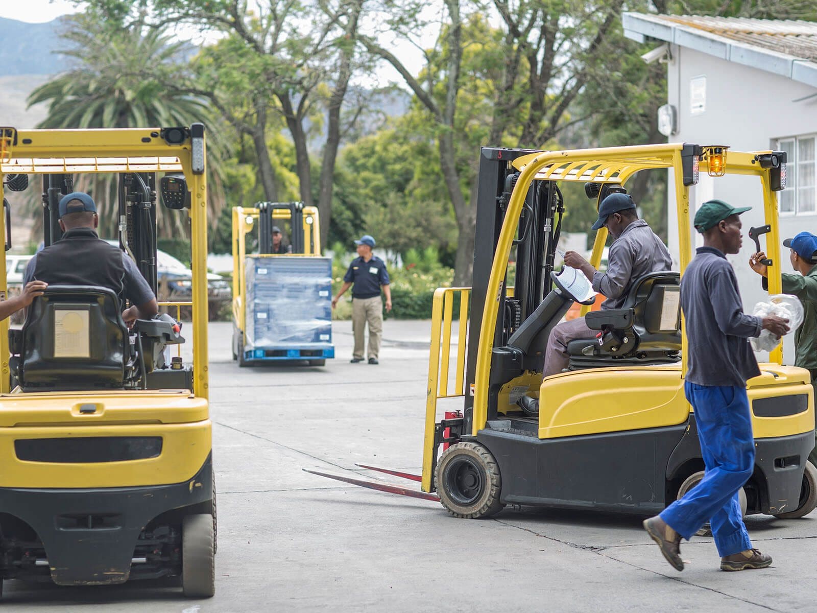 group-forklift-learning-lesson